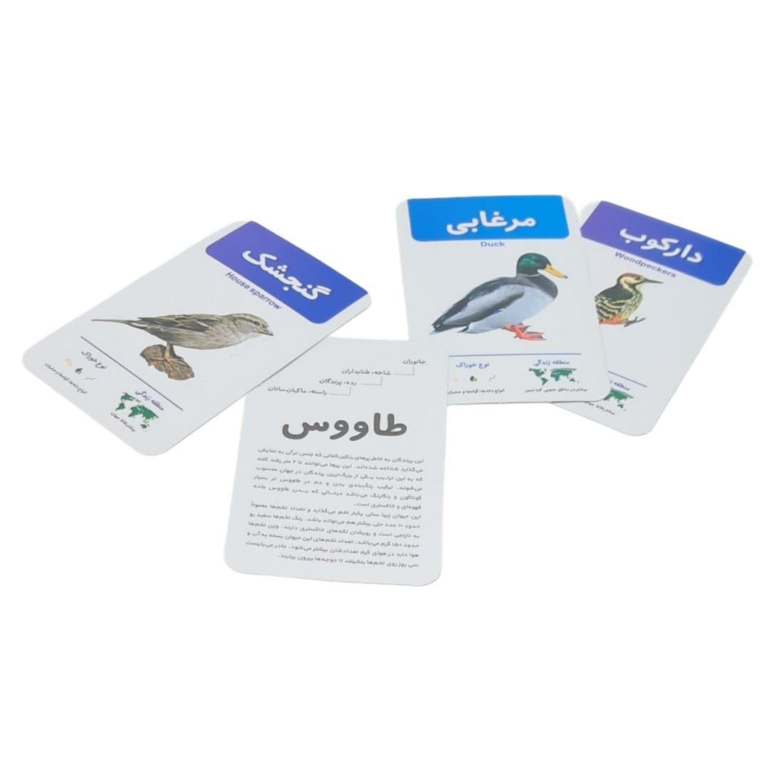 فلش کارت پرندگان اندیشه کهن 26 26 26 — تصویر ۵