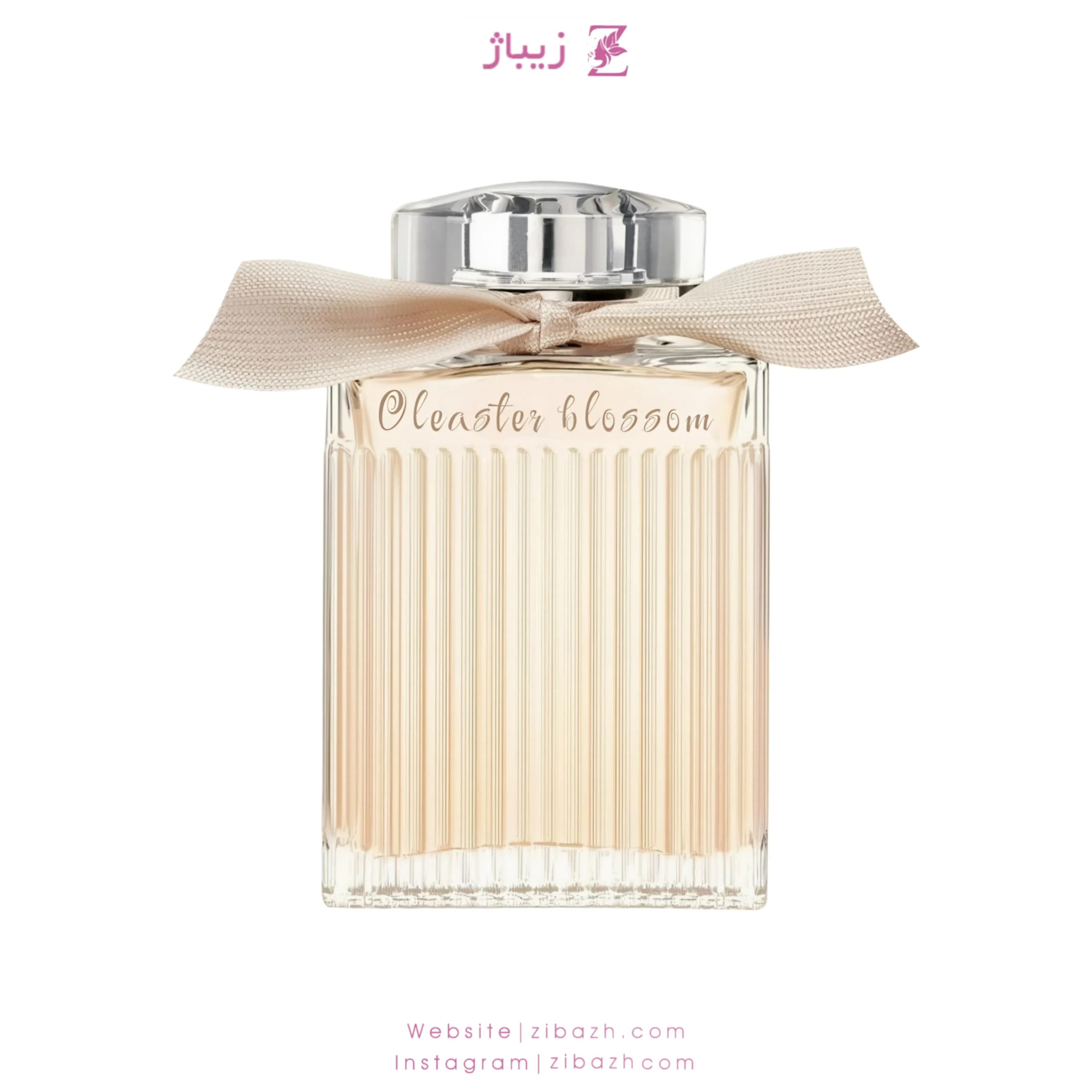 عطر زنانه گل سنجد — تصویر ۲