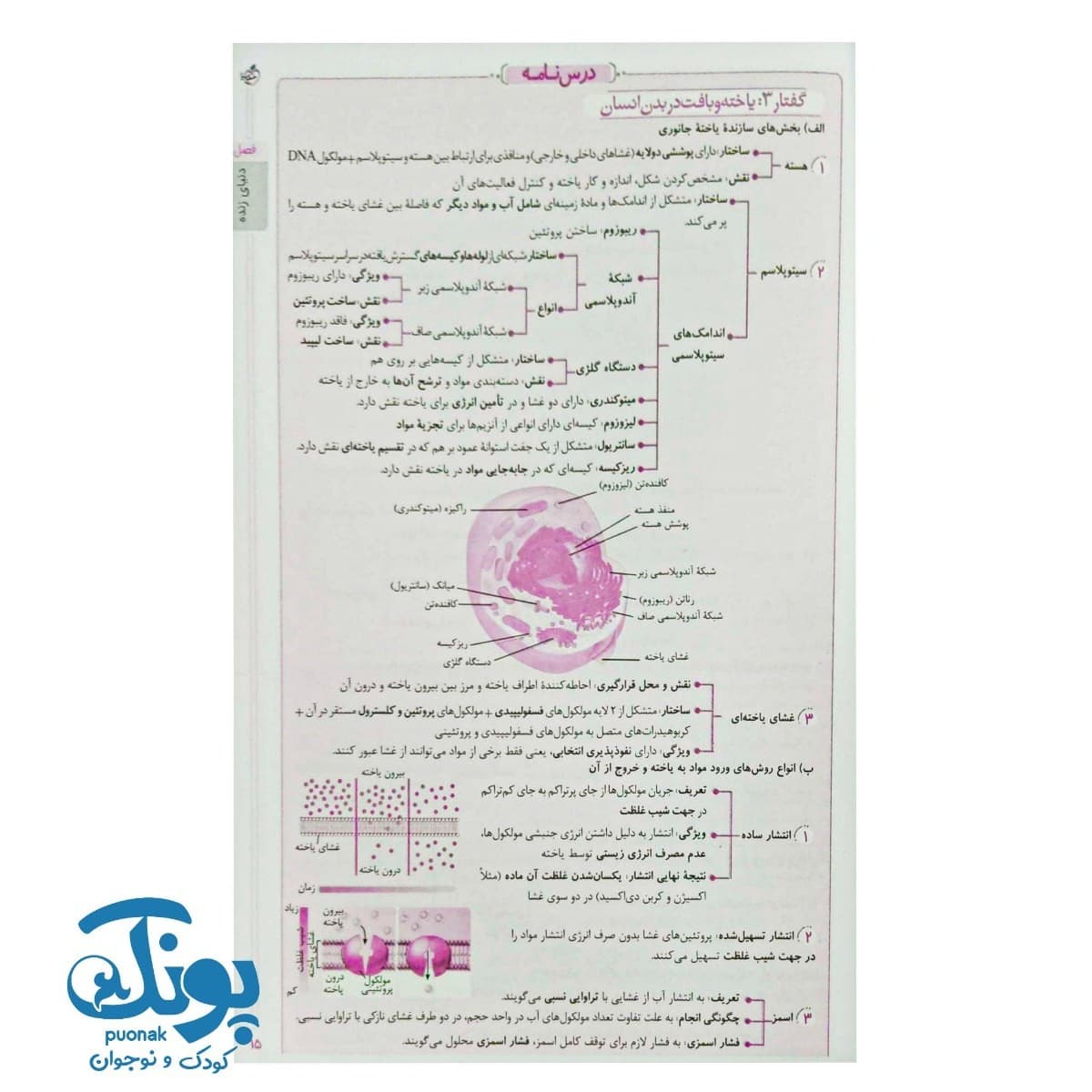 کتاب گام به گام دهم تجربی خیلی سبز — تصویر ۶