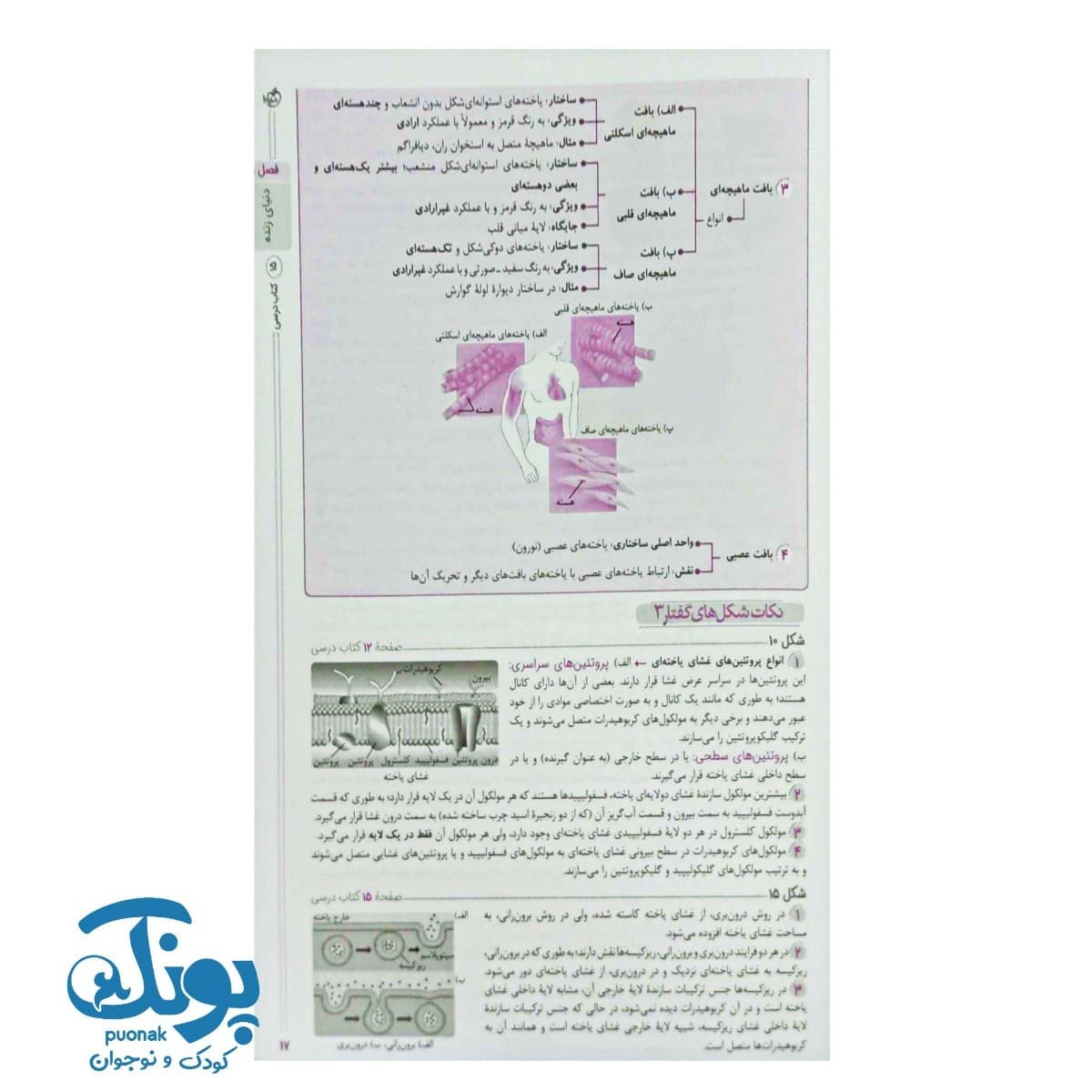 کتاب گام به گام دهم تجربی خیلی سبز — تصویر ۷