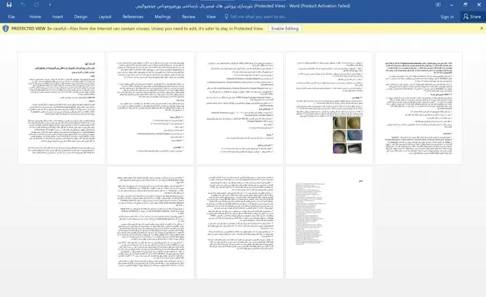 فایل تحقیق قسمت نهم: بلورسازی پروتئین های فیمبریال بازساختی پورفیروموناس ژنژیوالیس — تصویر ۳