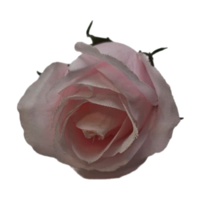 سرگل رز باکارا ریز — تصویر ۶