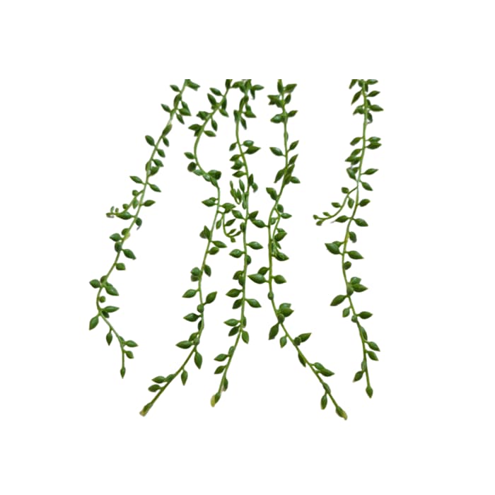 ریسه آویز برگ غوره — تصویر ۳