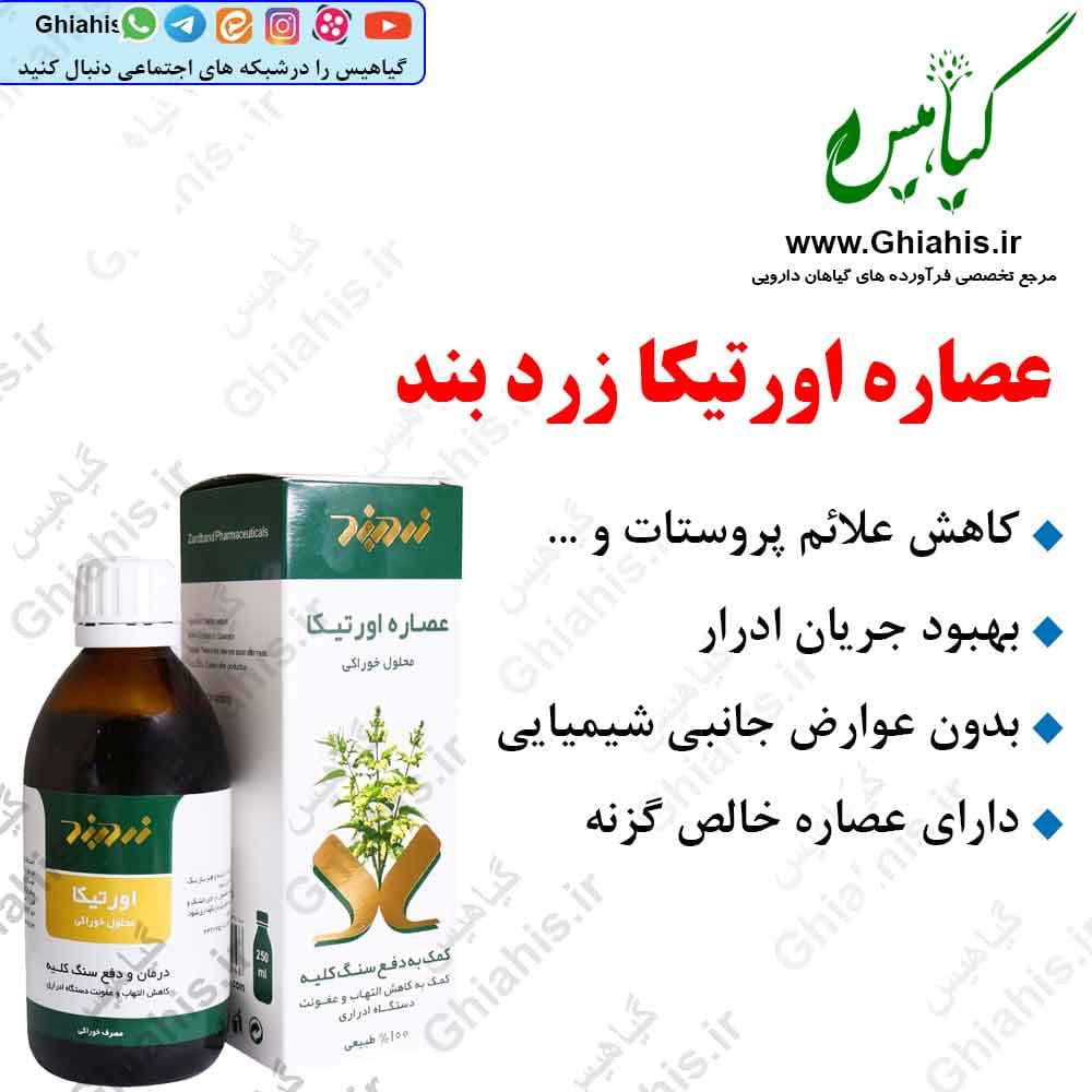 عصاره اورتیکا زرد بند (درمان پروستات)