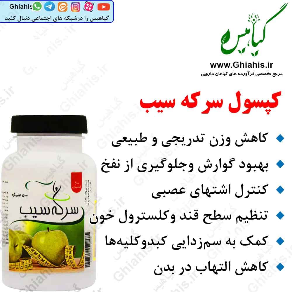 کپسول سرکه سیب ۵۰۰ میلی‌گرم