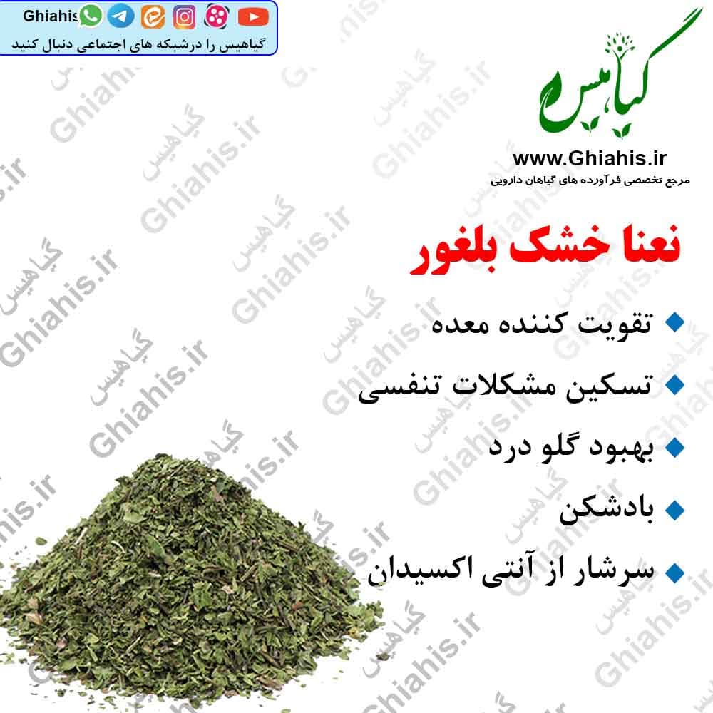 نعنا خشک بلغور 100گرمی