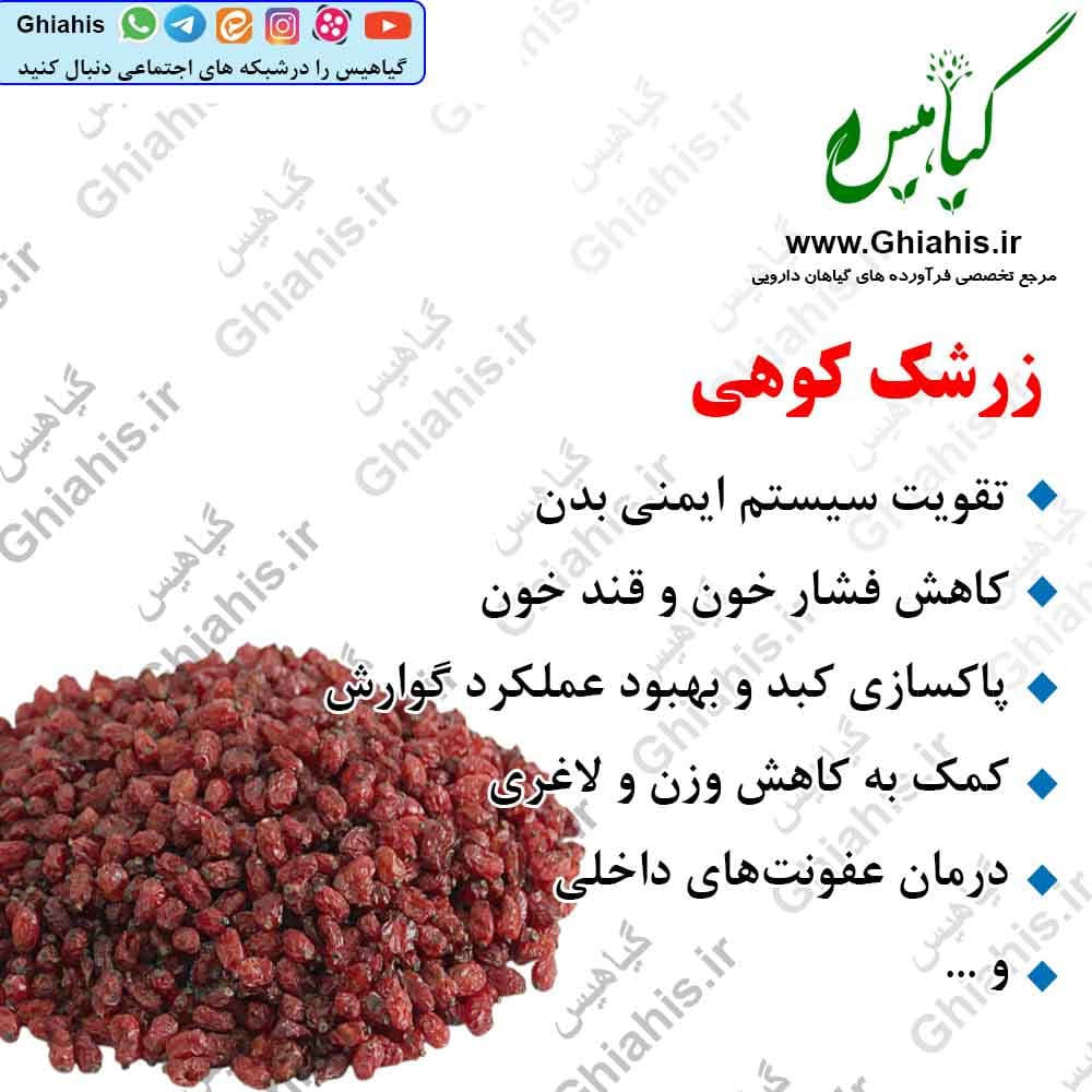 زرشک کوهی 100گرمی
