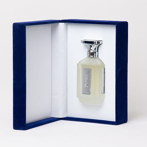 عطر مردانه سیلور اکستریم حجم 100 میل برند زیفوید — تصویر ۳