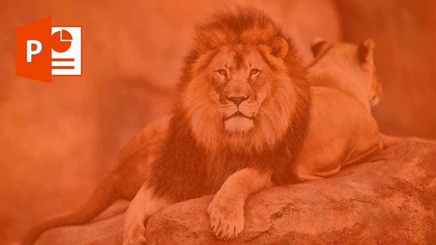 و دانلود پاورپوینت شیر به زبان انگلیسی