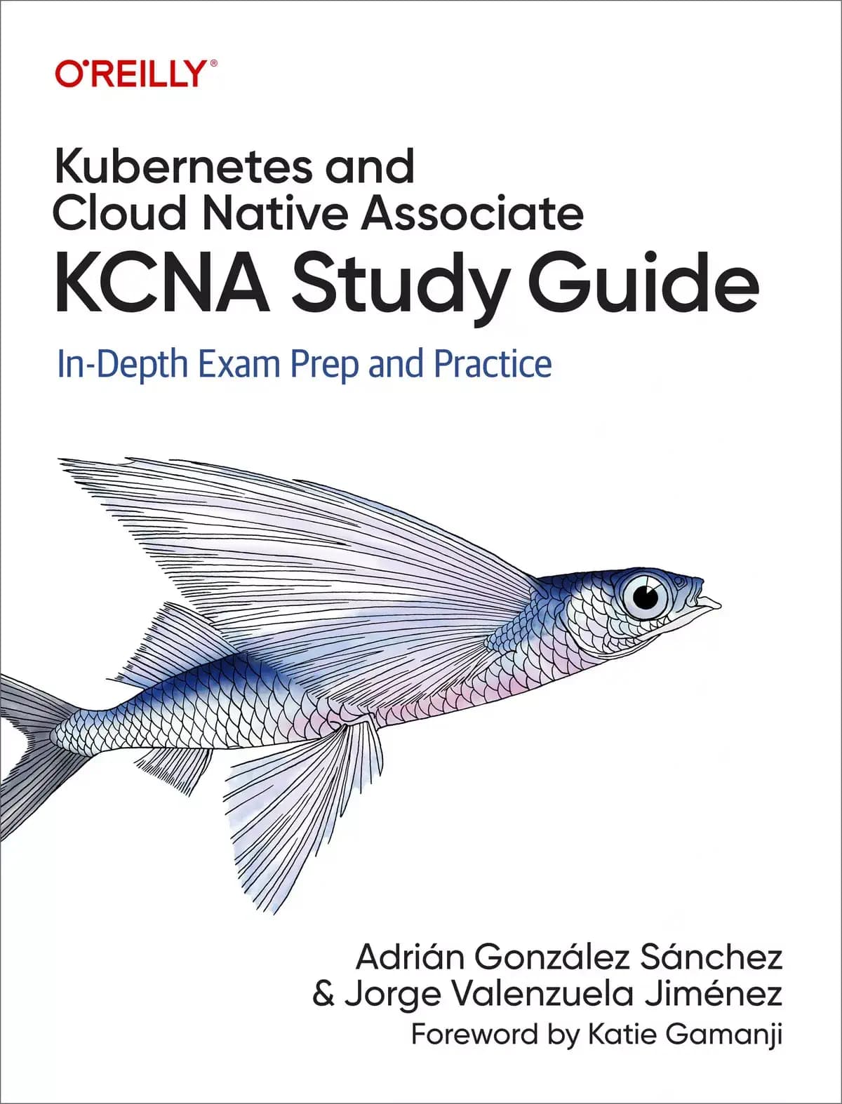 کتاب Kubernetes and Cloud Native Associate (KCNA) Study Guide — تصویر ۲