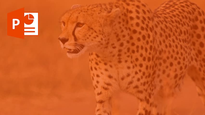 و دانلود پاورپوینت چیتا انگلیسی
