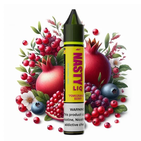 سالت انار و بری ها نستی | NASTY LIQ 29 Pomegranate Berry