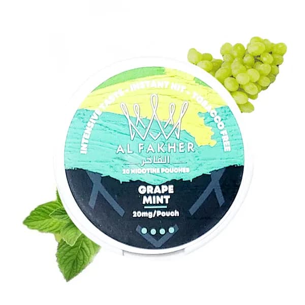 کیسه نیکوتین انگور نعناع الفاخر | ALFAKHER Grape Mint Bag
