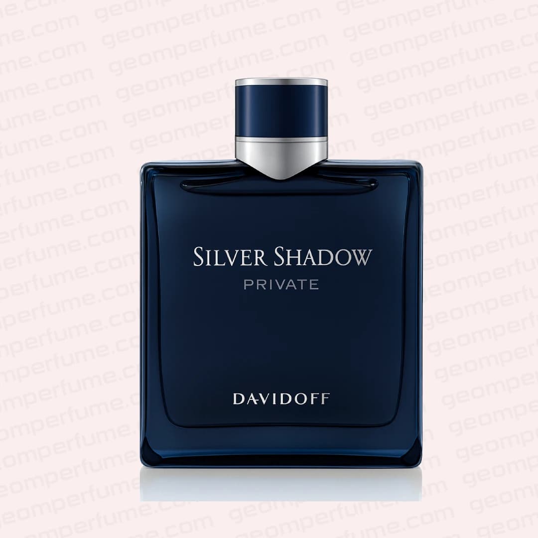 عطر ادکلن دیویدوف سیلور شادو پرایوت | Davidoff Silver Shadow Private