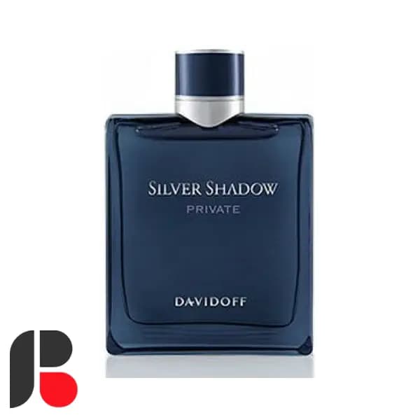 عطر ادکلن دیویدوف سیلور شادو پرایوت | Davidoff Silver Shadow Private — تصویر ۳