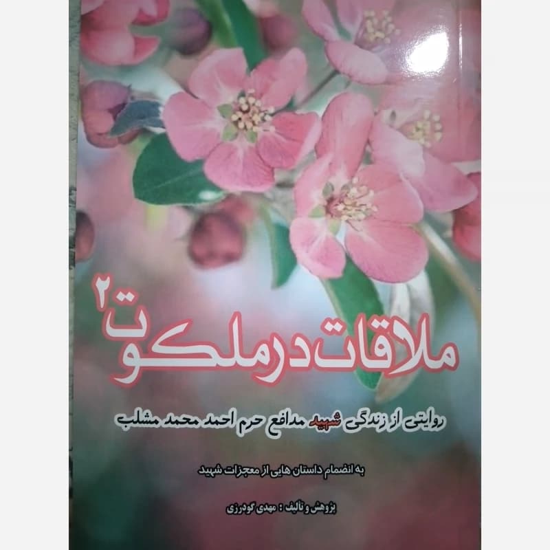 ملاقات در ملکوت جلد دوم