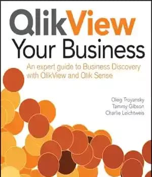 دانلود کتاب QlikView Your Business – QlikView کسب و کار شما