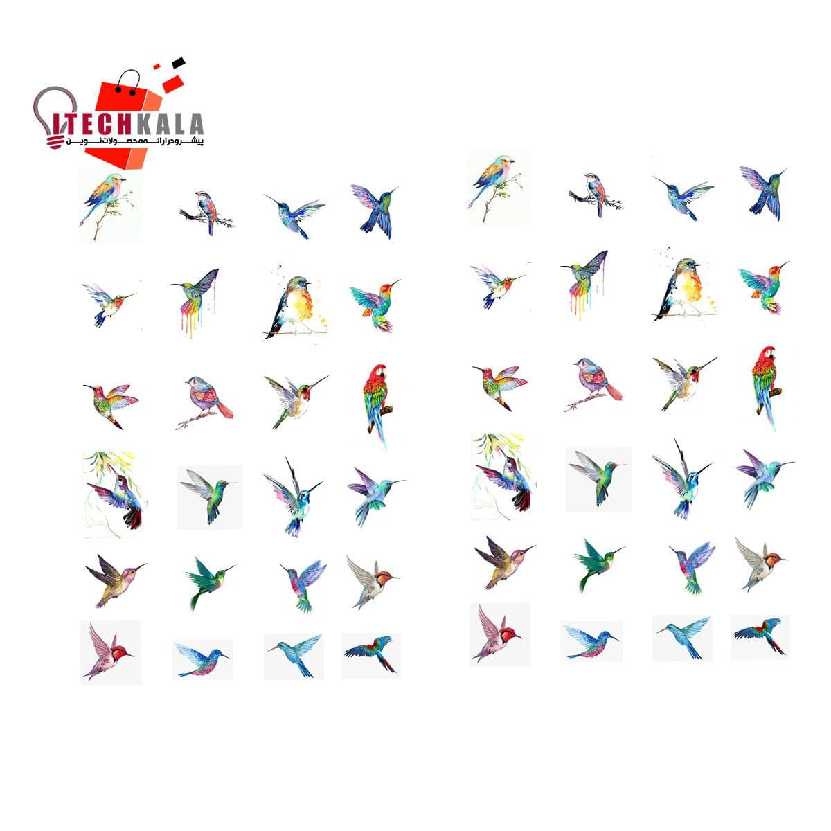 طلق پرنده رنگی ریز