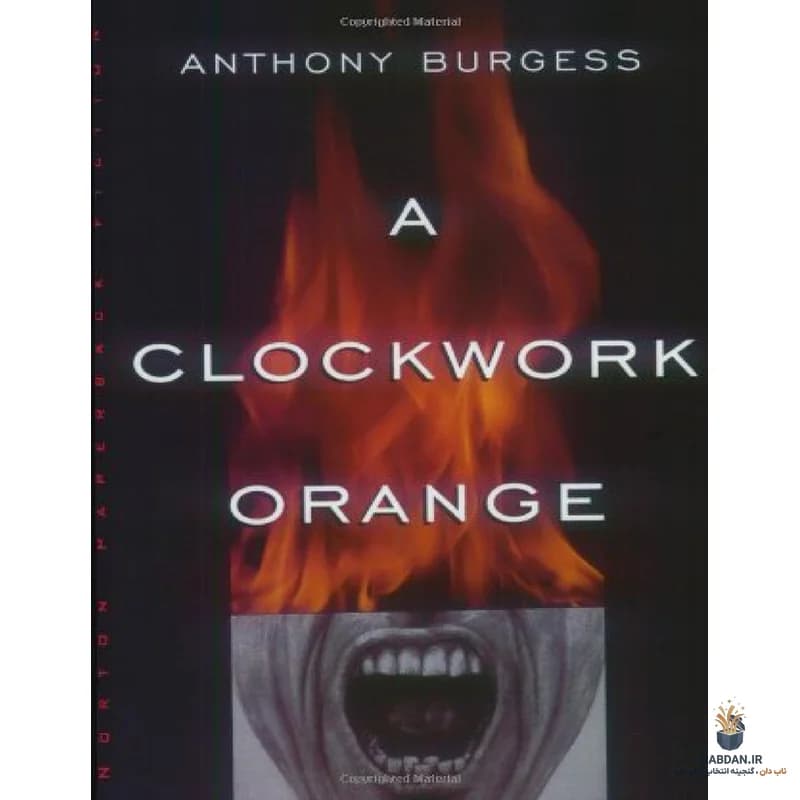 کتاب پرتقال کوکی (A Clockwork Orange) نسخه انگلیسی PDF | آنتونی برجس — تصویر ۲