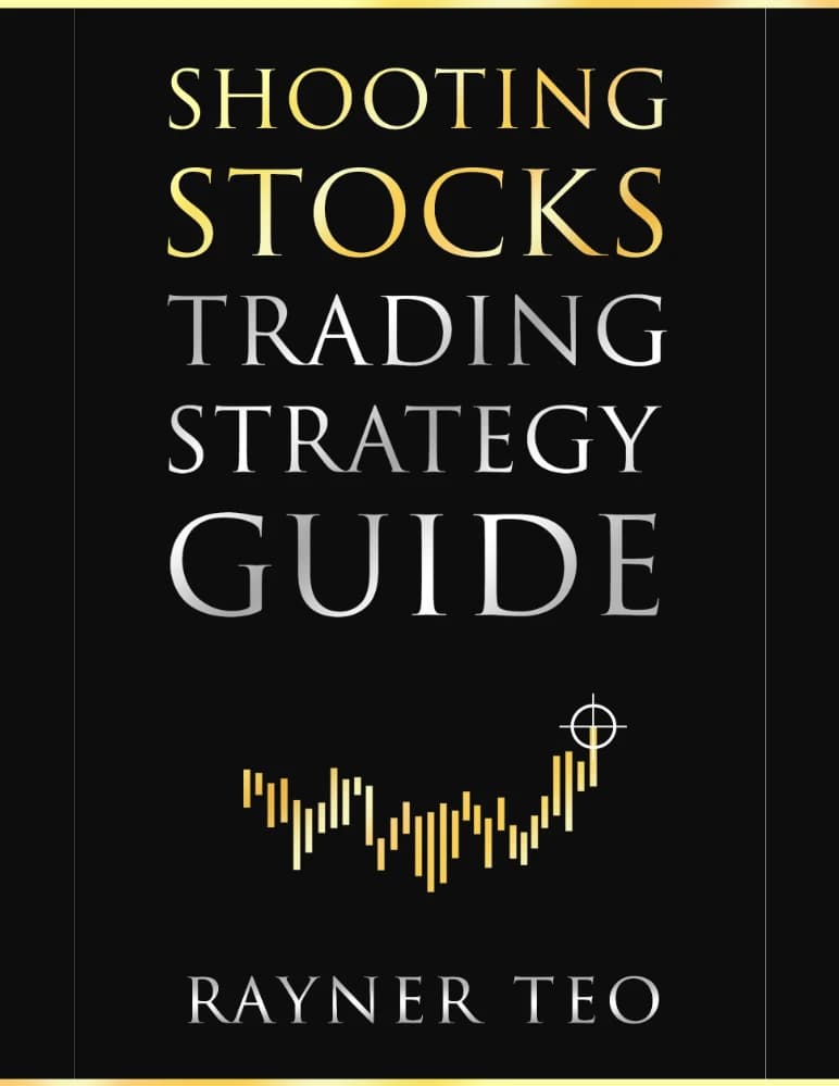 کتاب تیراندازی به سهام (Shooting Stocks) نسخه انگلیسی PDF | راینر — تصویر ۲