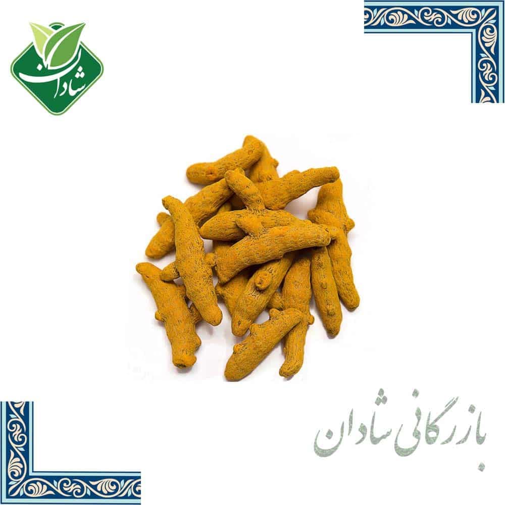 قلم زردچوبه نظام آباد 100 گرمی