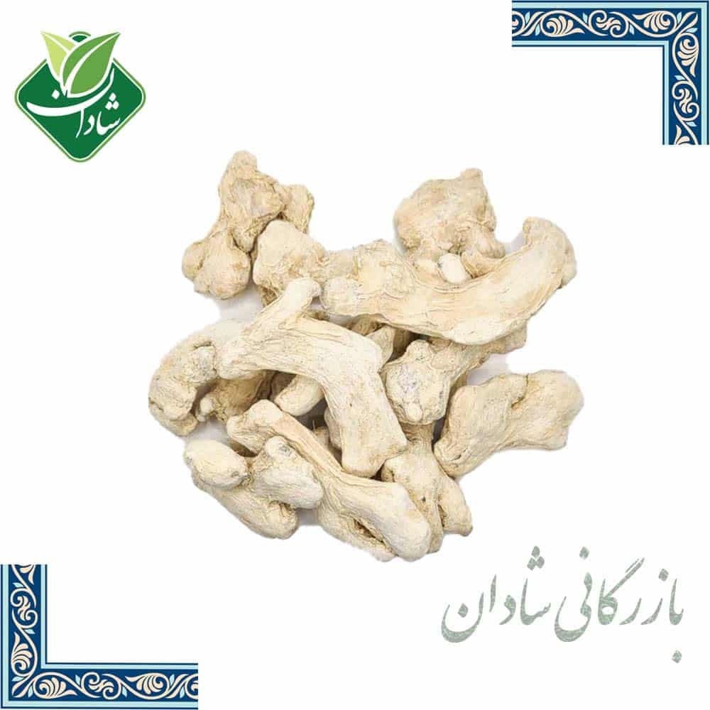 قلم زنجبیل سفید (چینی) 100 گرمی