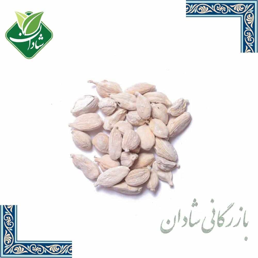 هل سفید 50 گرمی