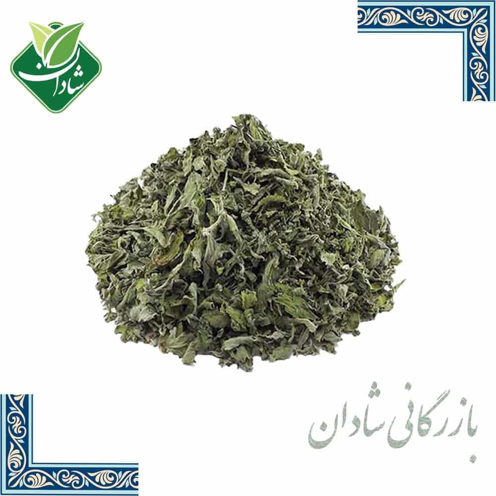 برگ نعنا خشک 100 گرمی