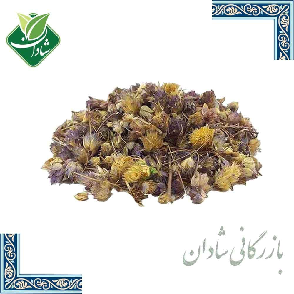 گل زوفا 100 گرمی