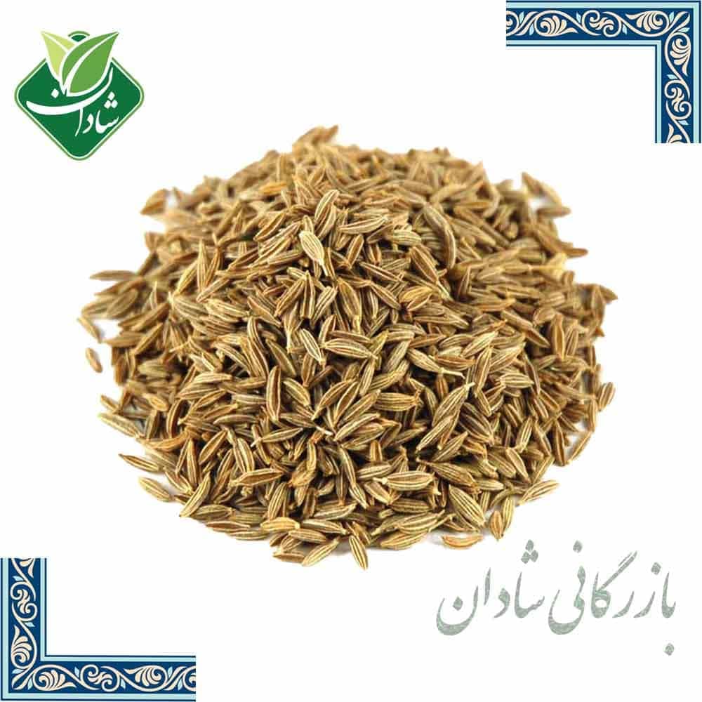 زیره سبز 100 گرمی