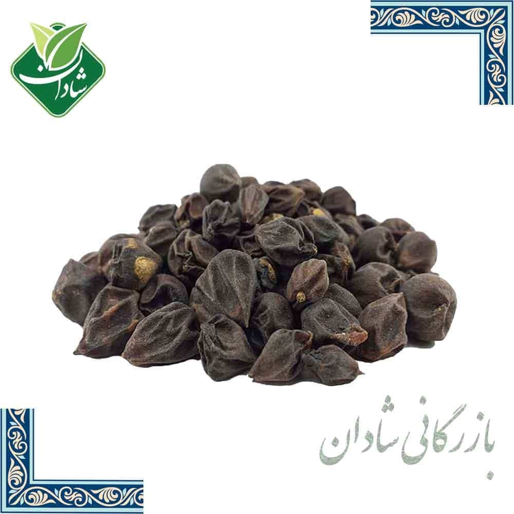 سپستان 100 گرمی