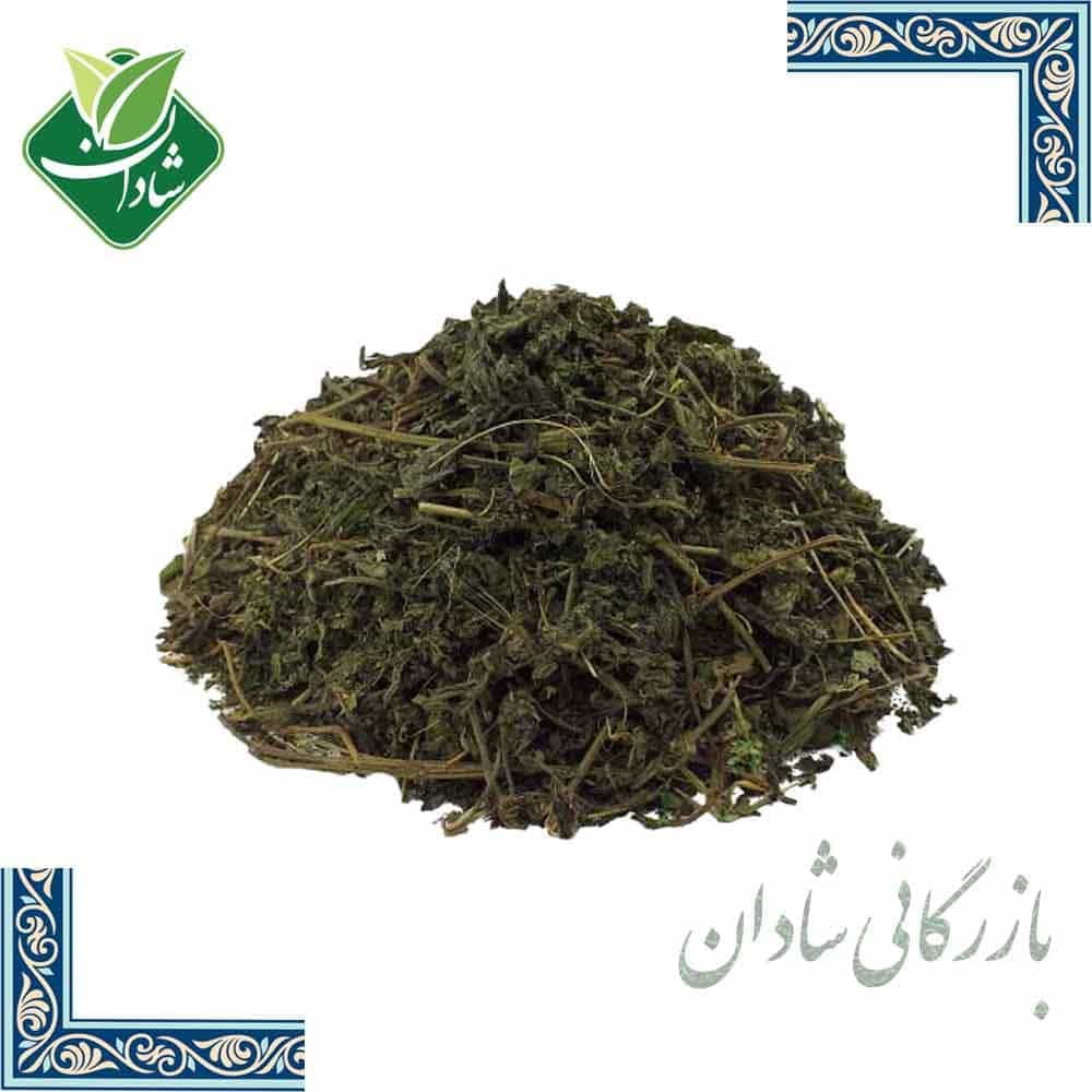 گزنه بلغور اعلاء 100 گرمی