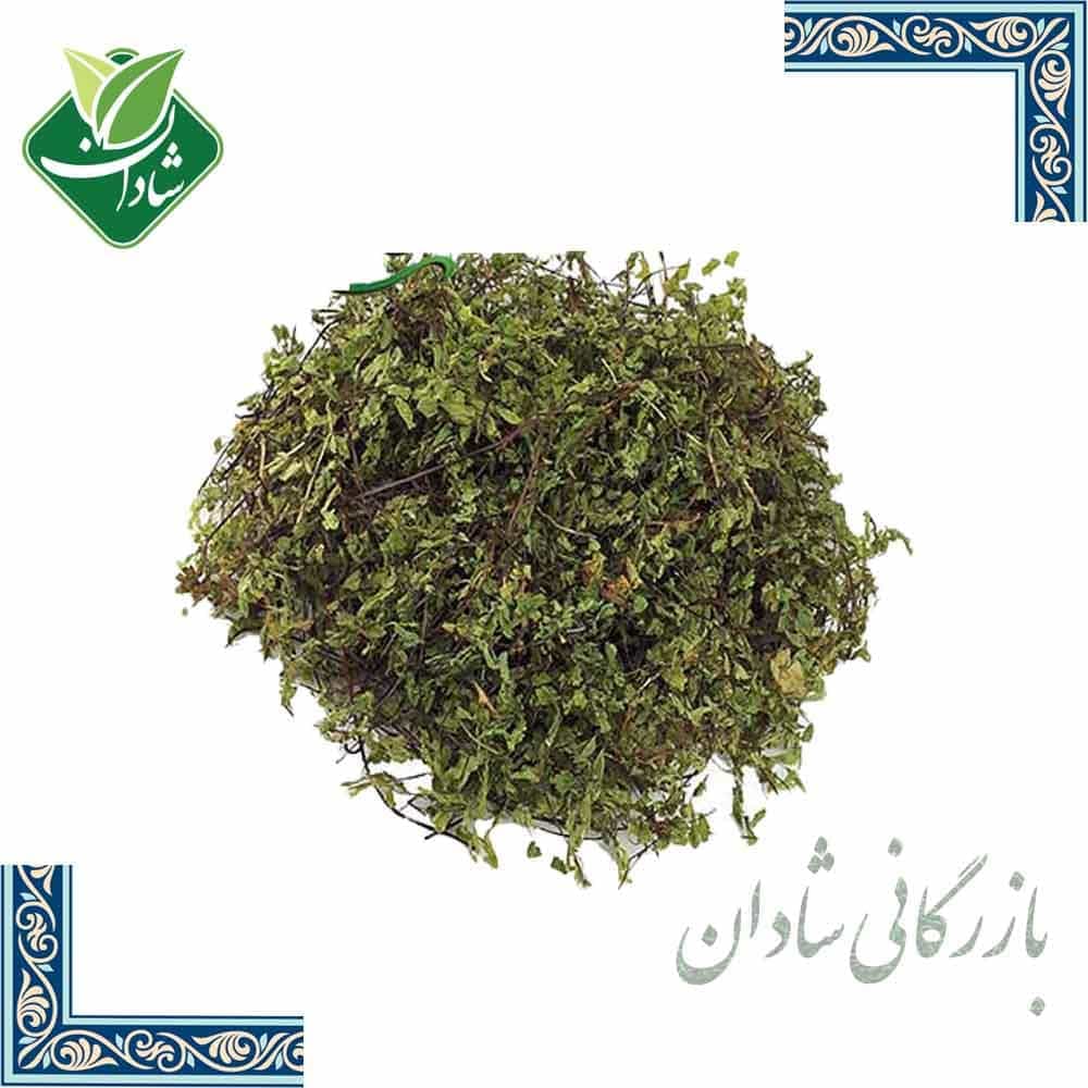 پرسیاوشان 100 گرمی