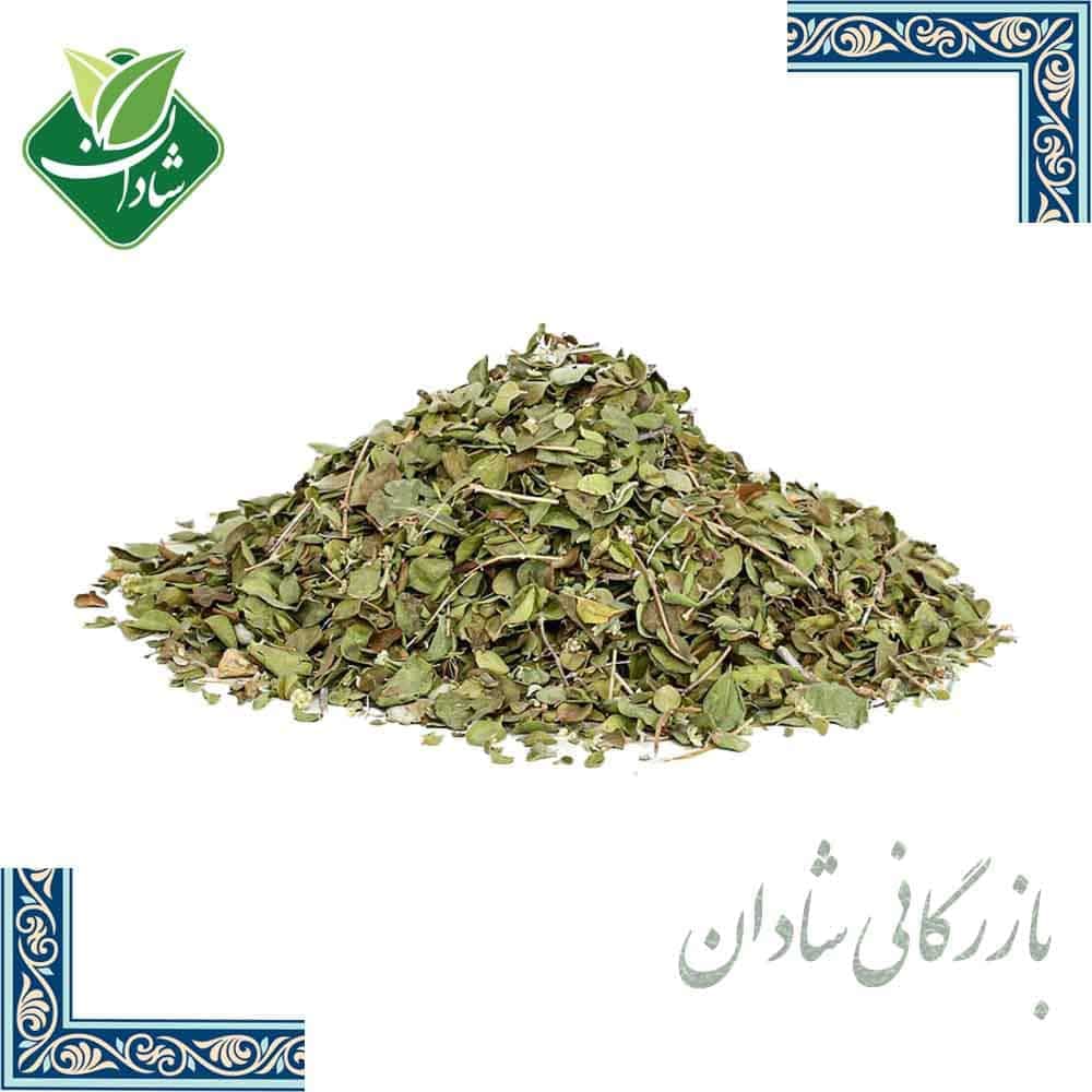 آویشن پهن برگ 50 گرمی