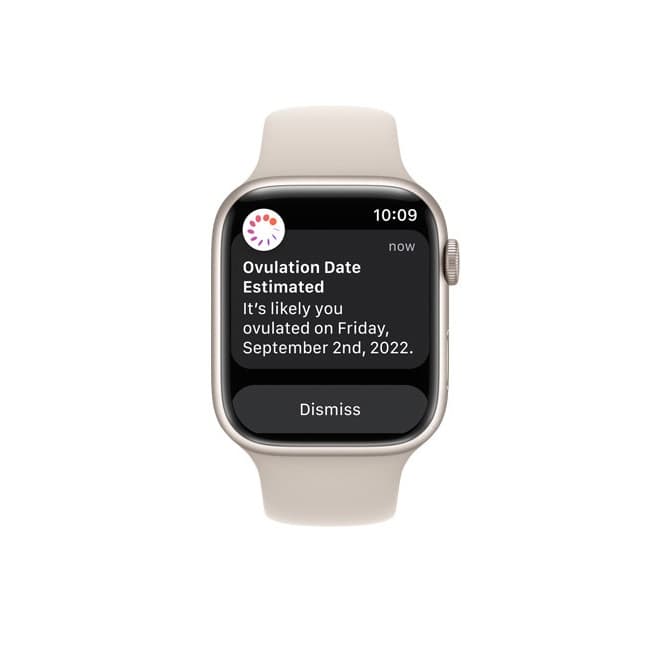 ساعت هوشمند اپل سری 8 سایز 41 میل / Apple Watch Series 8 41mm — تصویر ۶