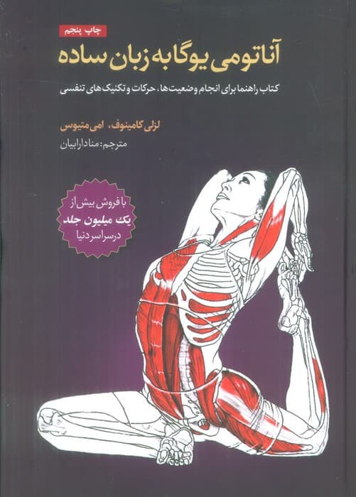 آناتومی یوگا به زبان ساده — تصویر ۲