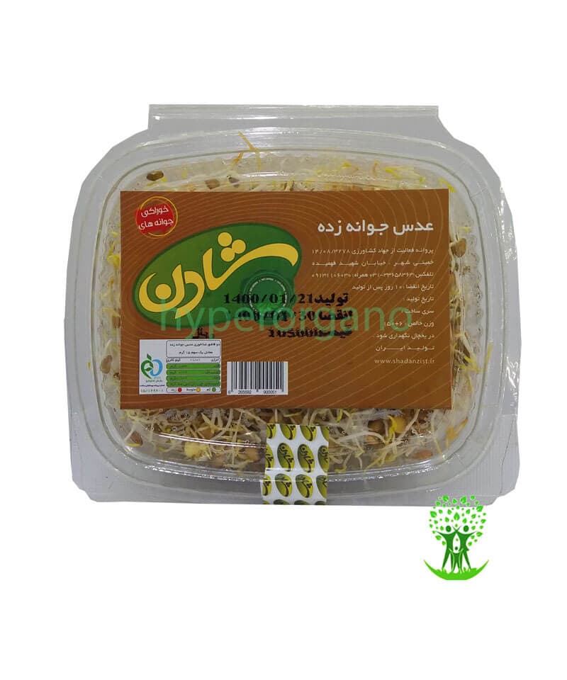 جوانه عدس 150 گرمی شادن