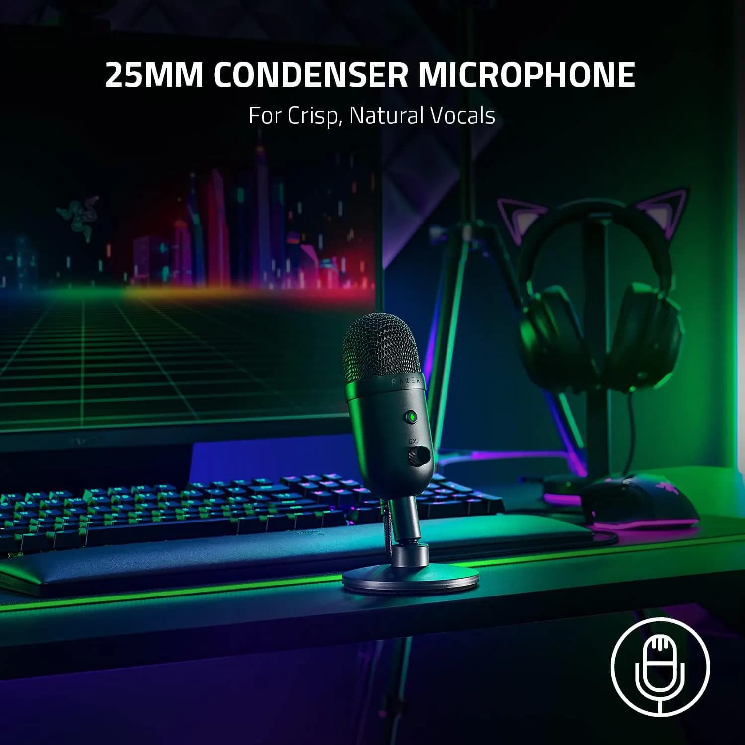 میکروفون استریم و گیمینگ ریزر مدل Razer Seiren V2 X USB Condenser Microphone — تصویر ۲