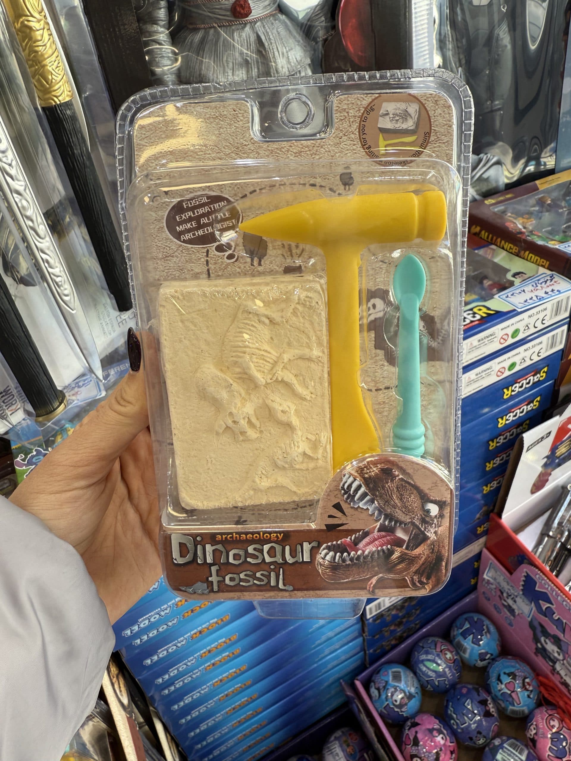 ست فسیل شناسی