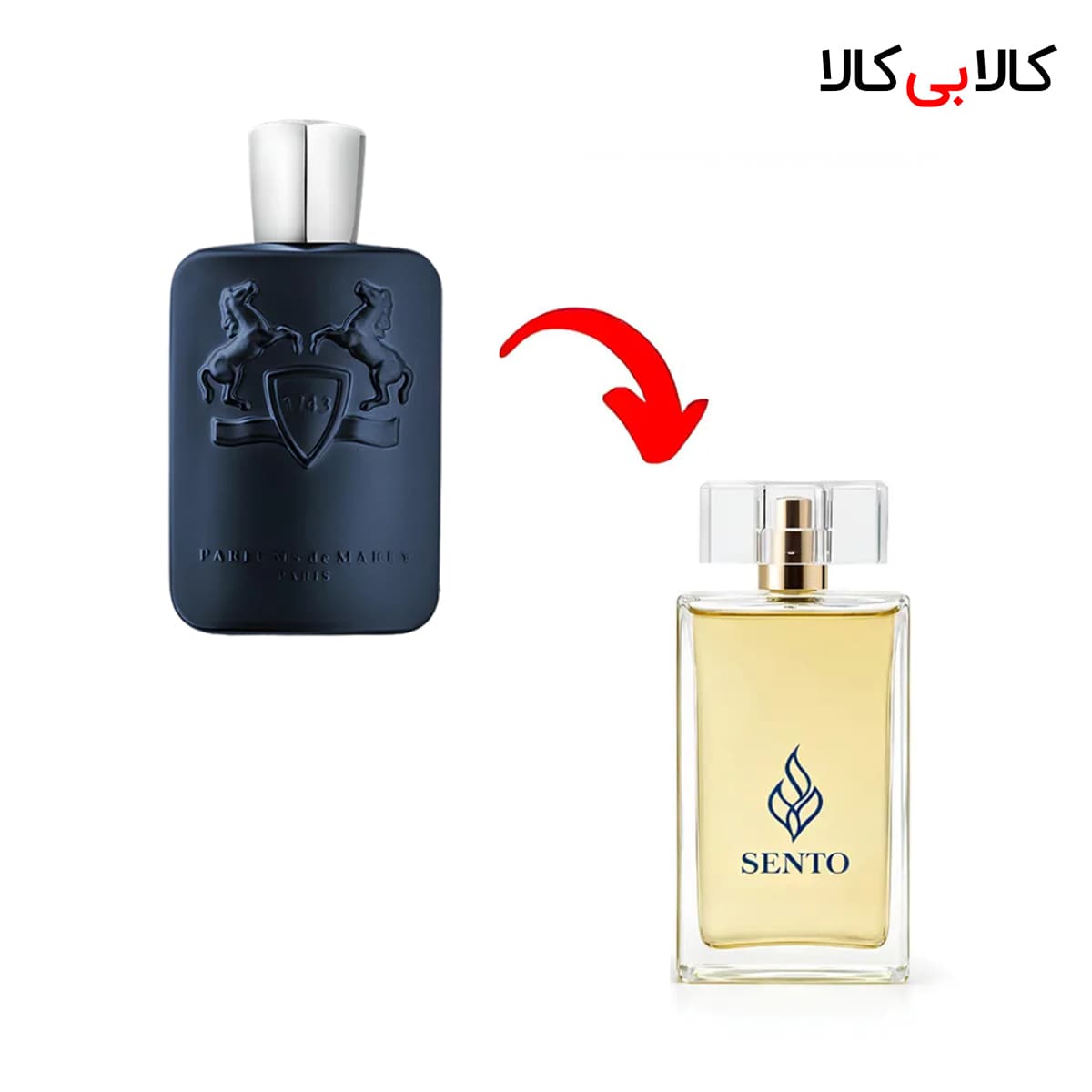 عطر سنتو مدل مارلی لیتون مردانه و زنانه حجم 100 میلی لیتر
