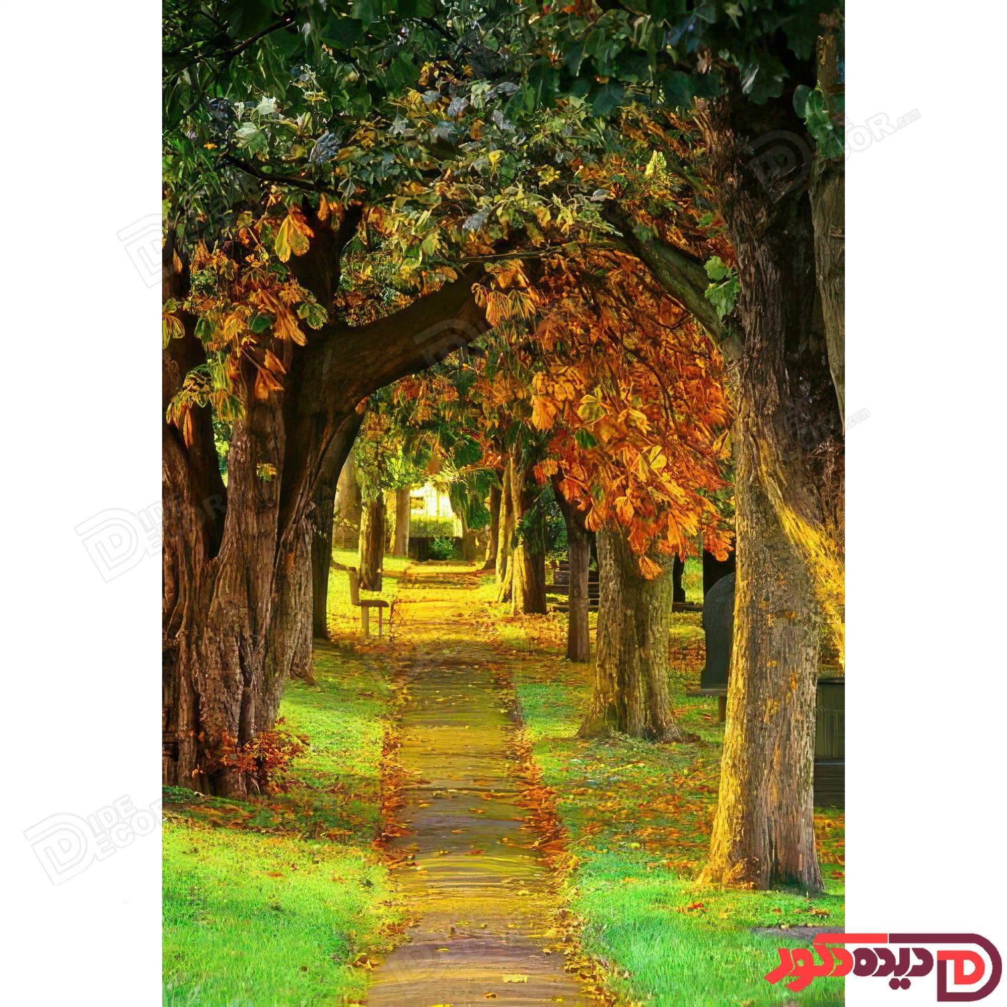 پرده زبرا دومکانیزم تصویری چاپی تصویر منظره کد AZD-132 — تصویر ۴