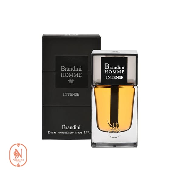 عطر ادکلن برندینی رایحه دیور هوم اینتنس ۳۳ میل