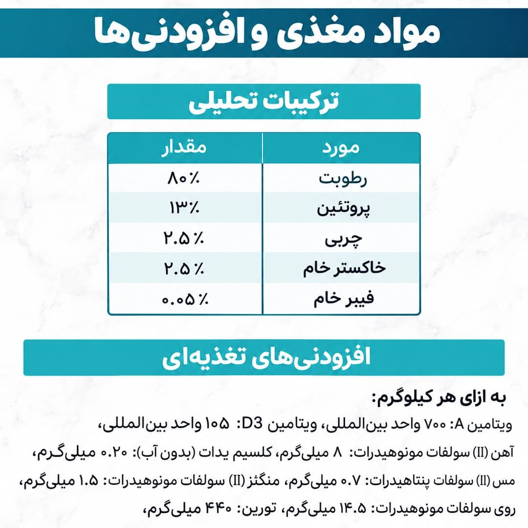 پوچ گربه ماهی تن گورمت — تصویر ۶