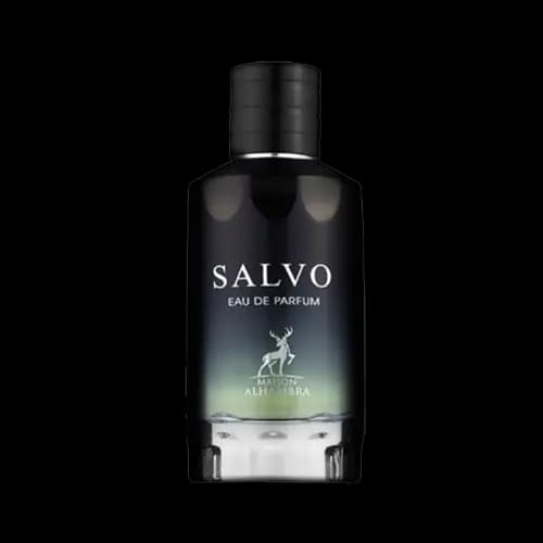 عطر و ادکلن الحمبرا دیور ساواج (سالوو) ادو پرفیوم 100 میلی لیتر شرکتی | Alhambra Dior Sauvage (Salvo) 100ml EDP — تصویر ۲