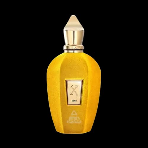 عطر ادکلن اماراتی زرجوف کورو (سلفریجز اکسکلوسیو) هاردباکس ادو پرفیوم 100 میلی لیتر | Emarati Perfume Xerjoff Coro (Selfridges Exclusive) 100ml EDP — تصویر ۲