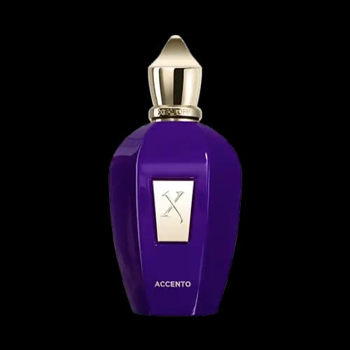عطر ادکلن اماراتی زرژف اکسنتو (اچنتو) هاردباکس ادو پرفیوم 100 میلی لیتر | Emarati Perfume Xerjoff Accento 100ml EDP — تصویر ۲