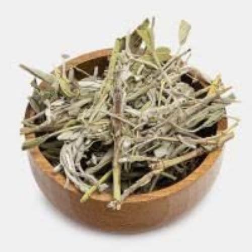 گیاه دارویی کنترل دیابت مریم گلی دارالشفاء