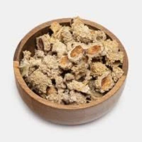 گیاه دارویی شکرتیغال طبیعی دار الشفاء