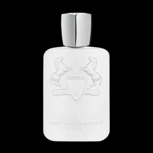 تستر اماراتی پارفومز د مارلی گالووی (گلووی) درب پلاستیکی ادو پرفیوم 125 میلی لیتر | Tester Parfums de Marly Galloway 125ml EDP — تصویر ۳
