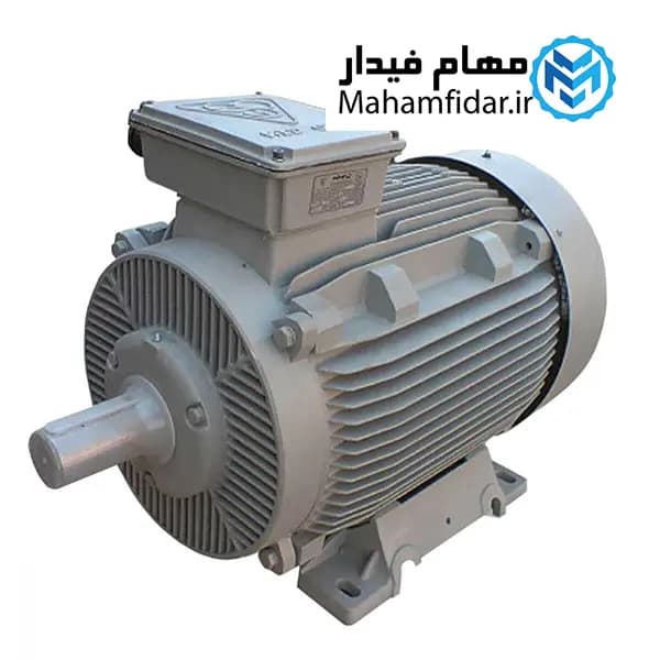الکتروموتور پوسته چدن 18.5 کیلووات 25 اسب سه فاز موتوژن — تصویر ۲